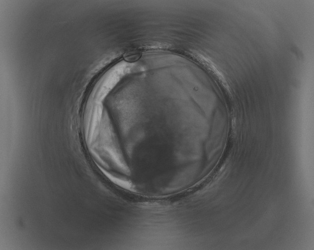 X0000116450721200912291947