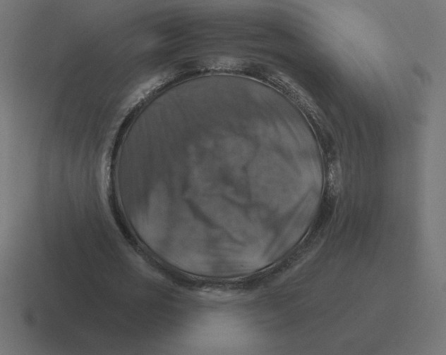 X0000116450725200912291947