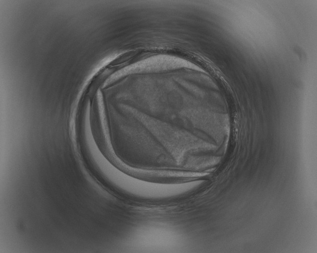 X0000116450726200912291947