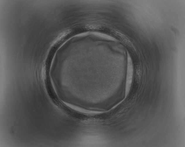 X0000116450734200912291947