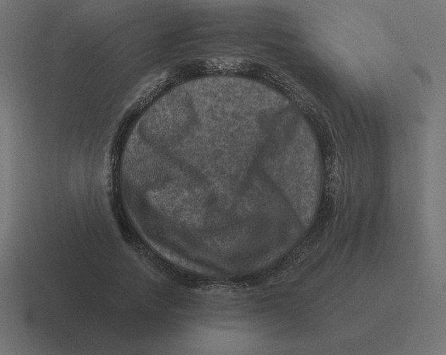 X0000116450738200912291947