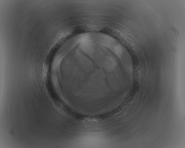 X0000116450742200912291947