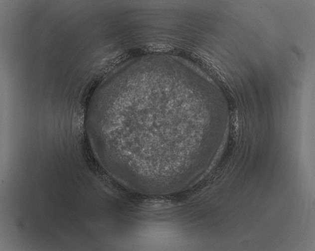 X0000116450745200912291947