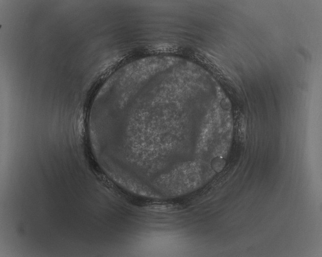 X0000116450746200912291947