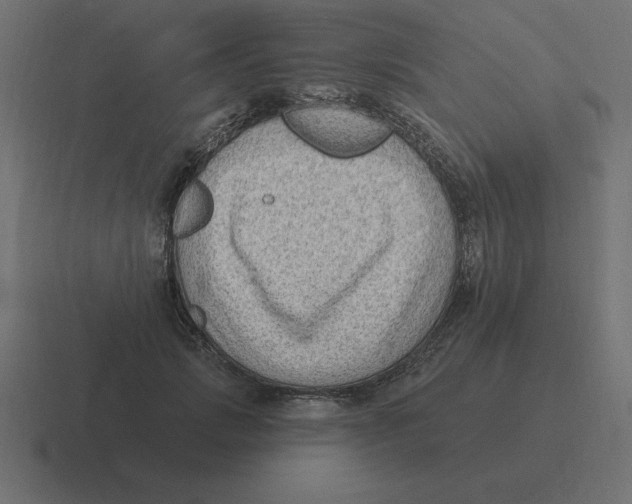 X0000116450749200912291947