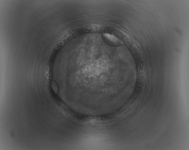X0000116450750200912291947