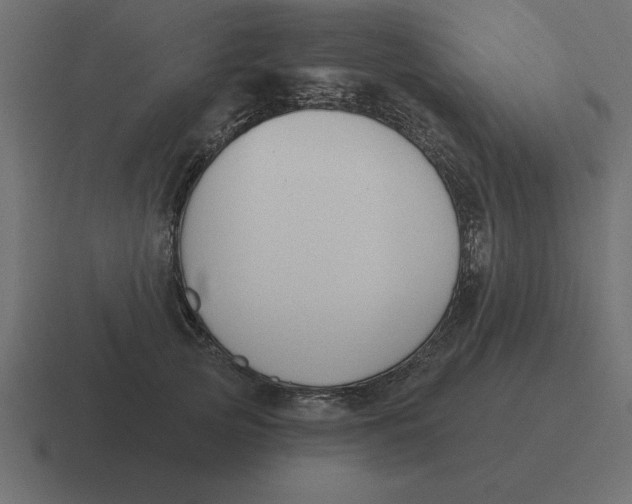 X0000116450753200912291947