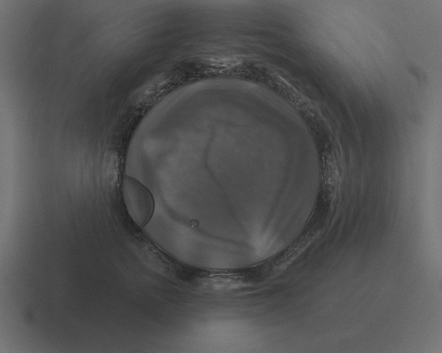 X0000116450758200912291947