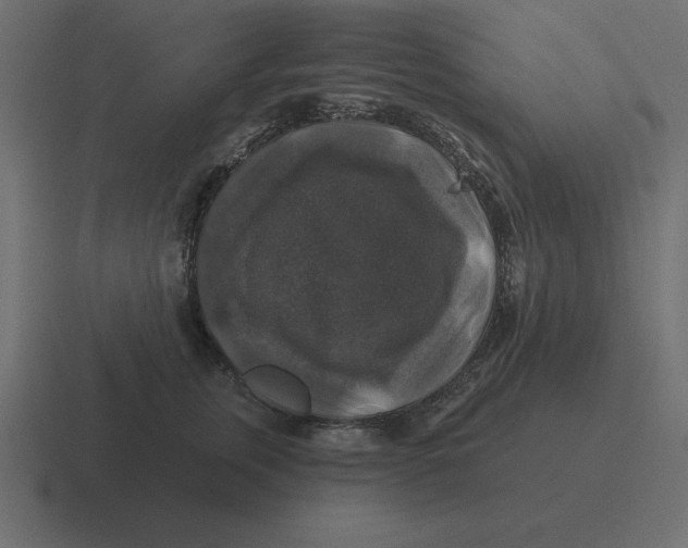 X0000116450759200912291947