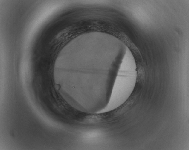 X0000116450765200912291947