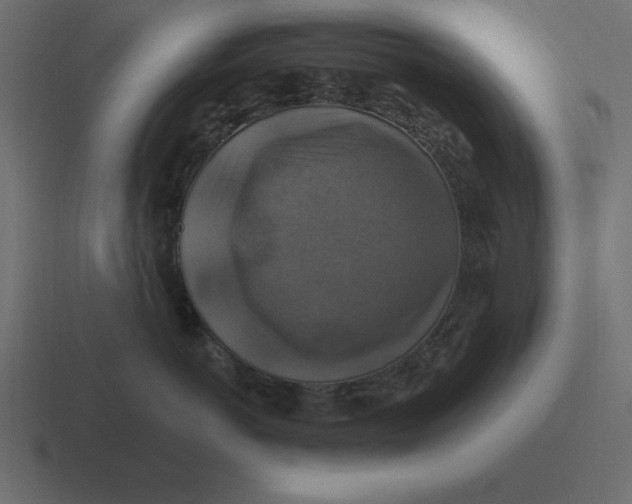X0000116450766200912291947
