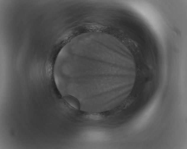 X0000116450767200912291947