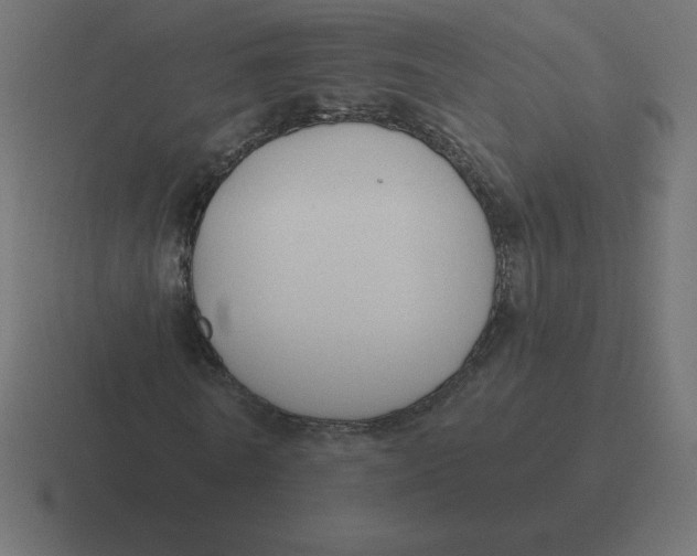 X0000116450770200912291947