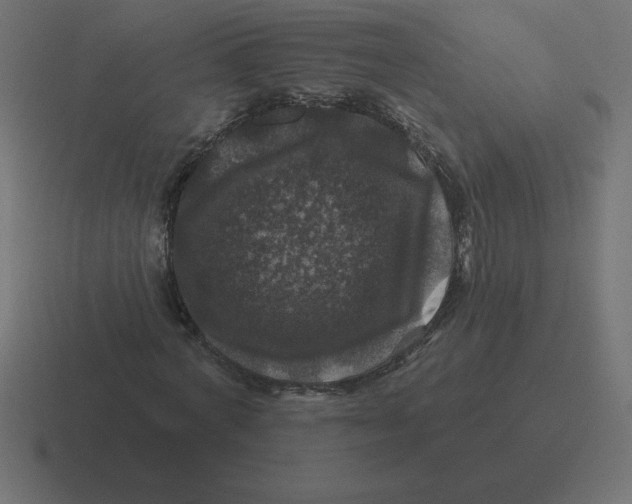 X0000116450772200912291947
