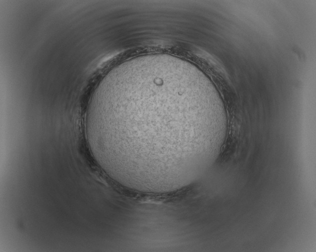 X0000116450773200912291947
