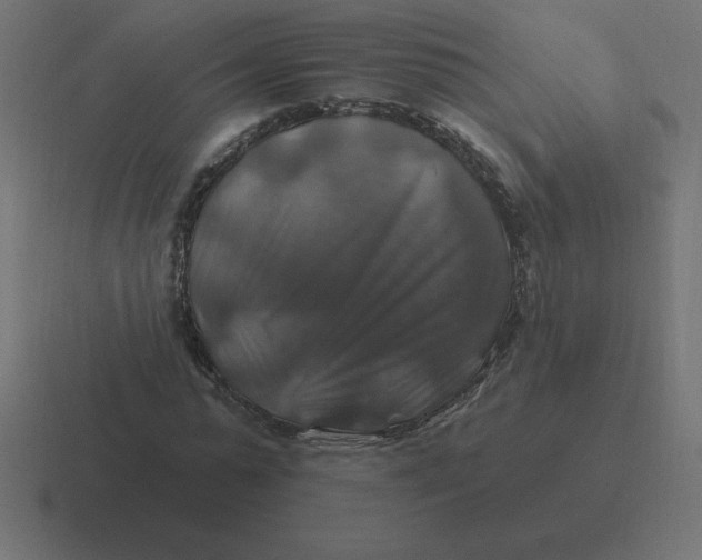 X0000116450775200912291946