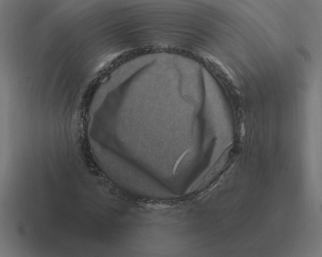 X0000116450776200912291946