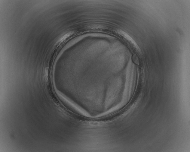 X0000116450777200912291946