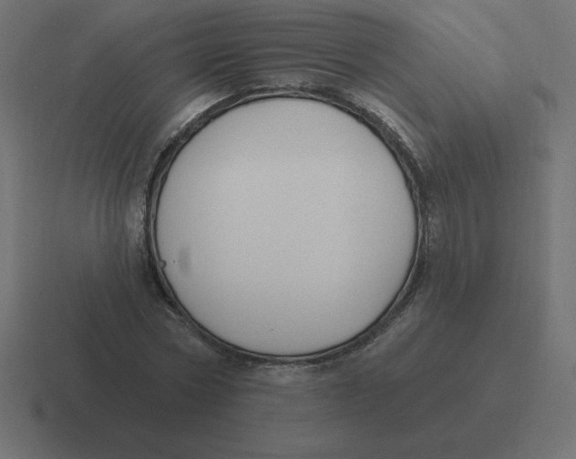 X0000116450778200912291946