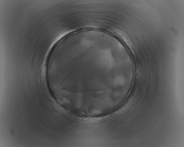 X0000116450779200912291946