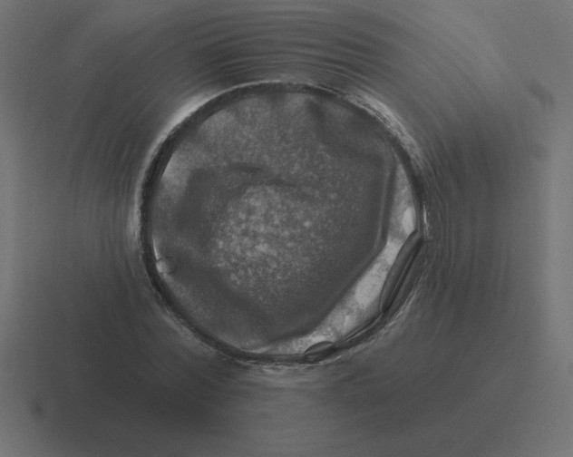 X0000116450780200912291946