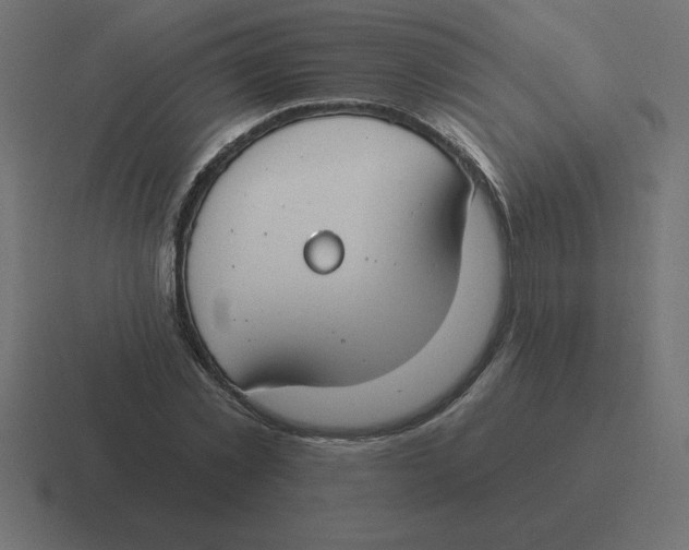 X0000116450781200912291946