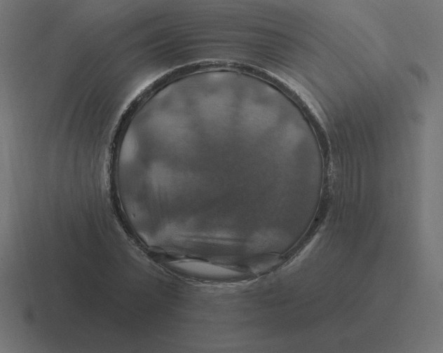 X0000116450783200912291946