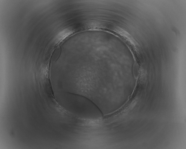 X0000116450785200912291946