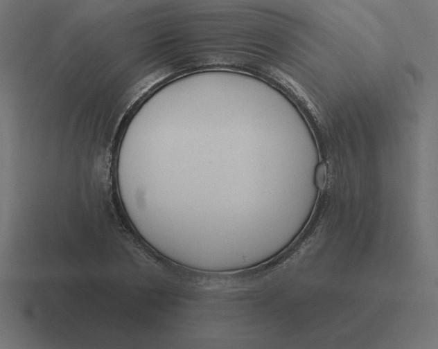 X0000116450786200912291946