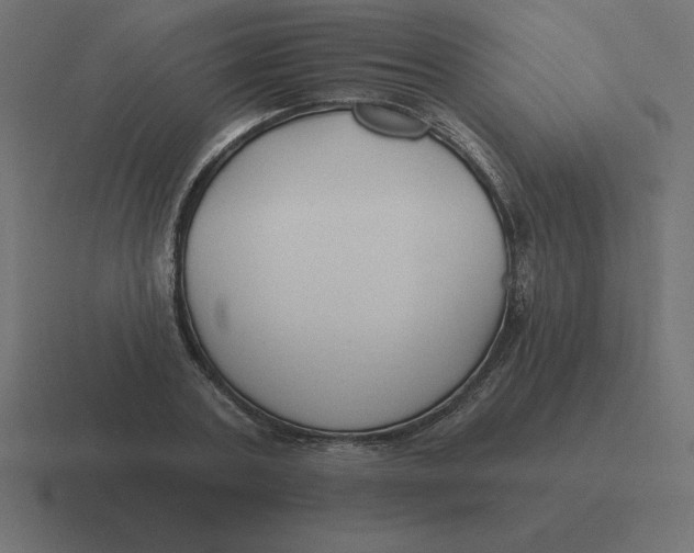 X0000116450787200912291946