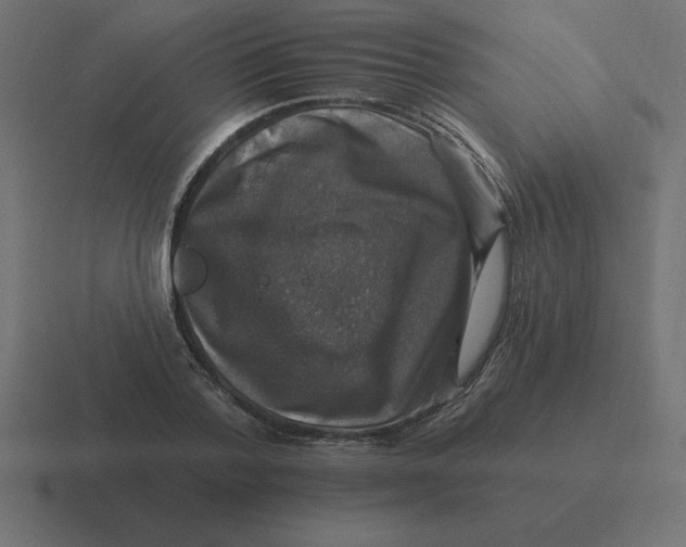 X0000116450788200912291946