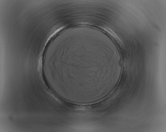 X0000116450790200912291946