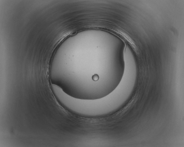 X0000116450793200912291946