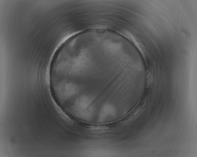 X0000116450795200912291946