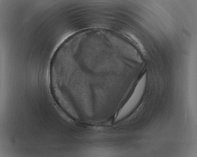 X0000116450796200912291946