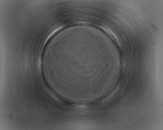 X0000116450798200912291946