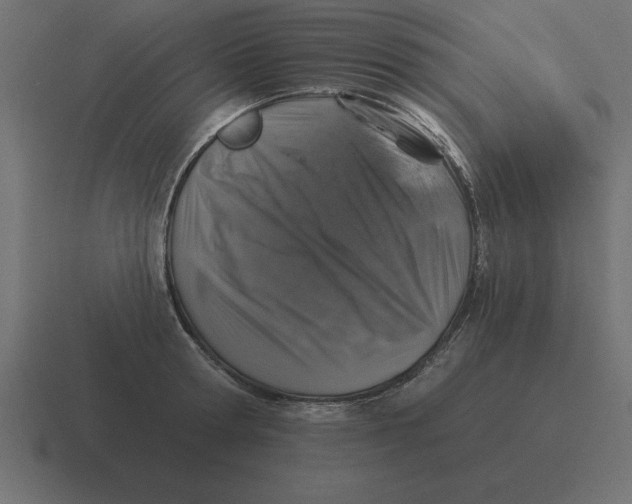 X0000116450802200912291946