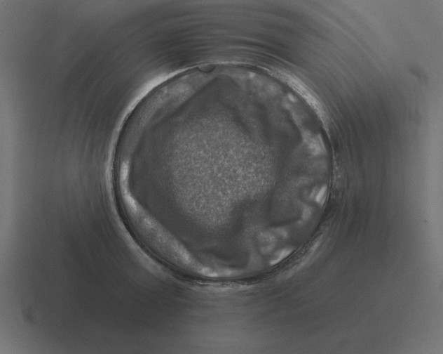 X0000116450803200912291946