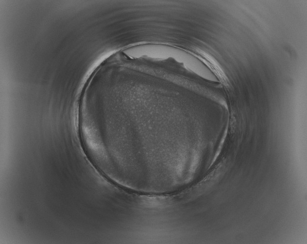 X0000116450804200912291946