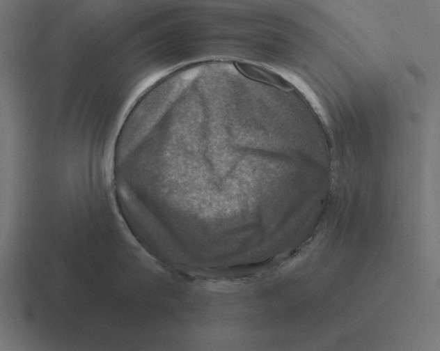X0000116450815200912291946