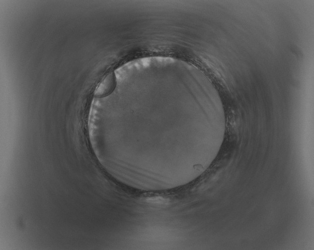 X0000116450817200912291945