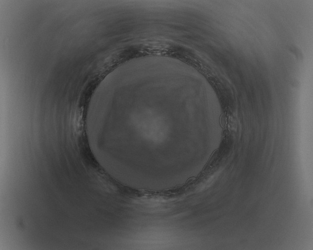 X0000116450818200912291945