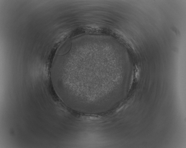 X0000116450819200912291945