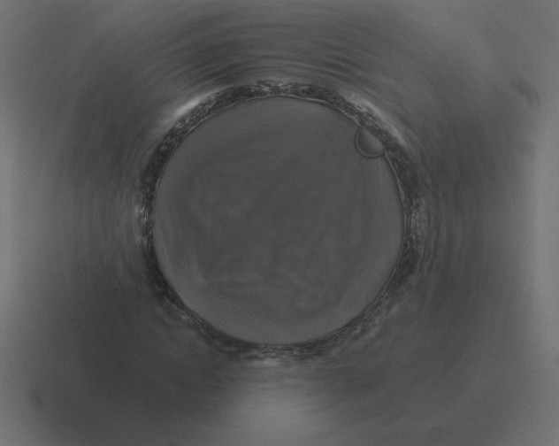 X0000116450822200912291945