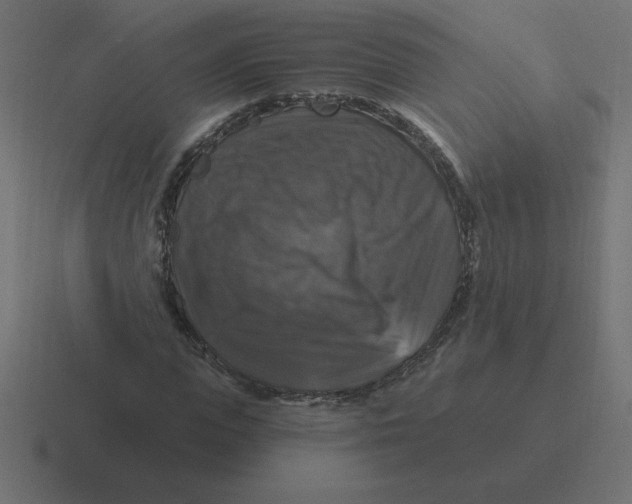X0000116450823200912291945