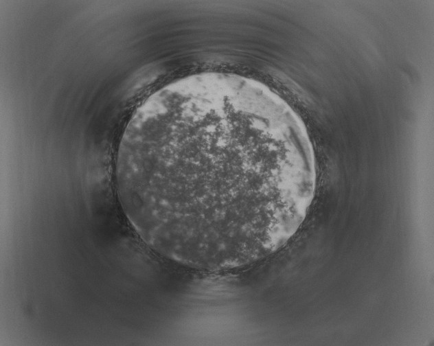 X0000116450824200912291945