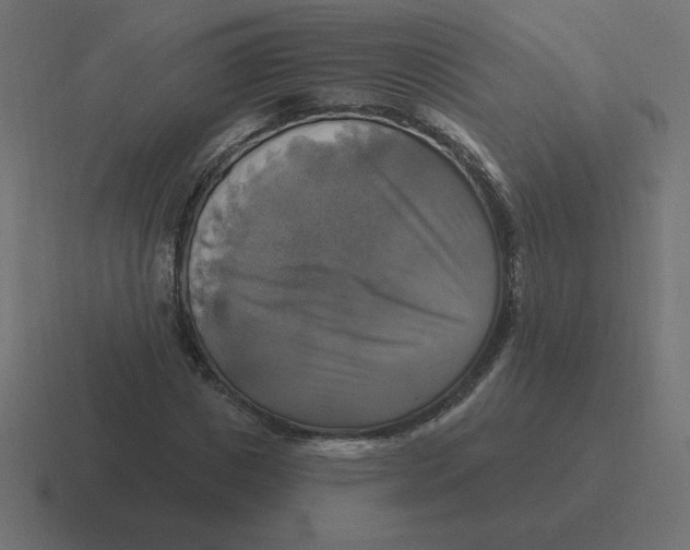 X0000116450825200912291945