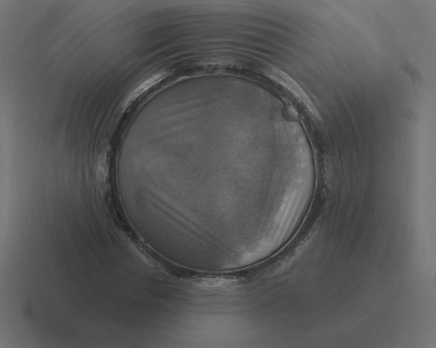 X0000116450826200912291945
