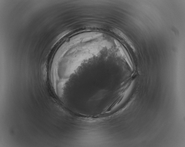 X0000116450829200912291946