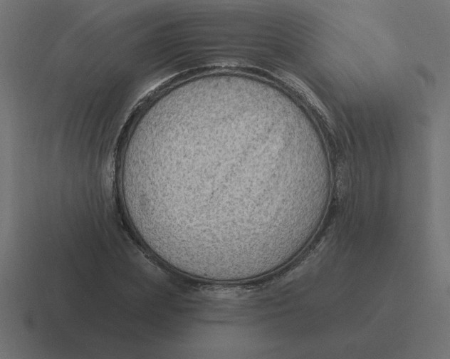 X0000116450831200912291946